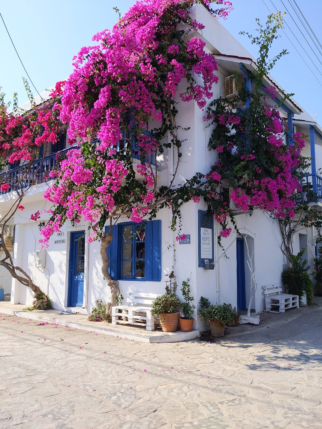 Bougainvillea Mochlos Store